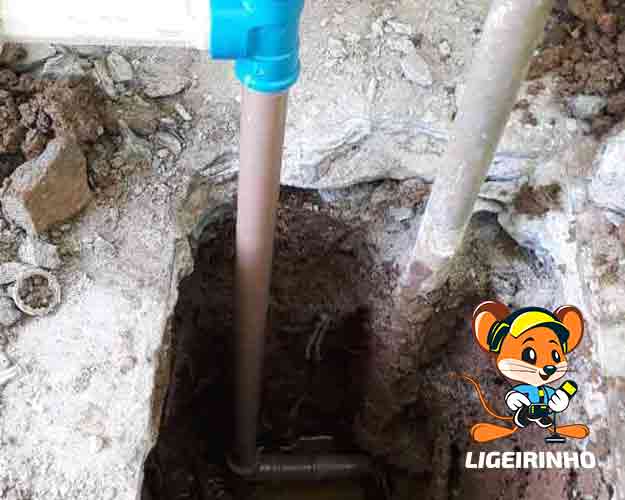 Detecção especializada de vazamento Brásil