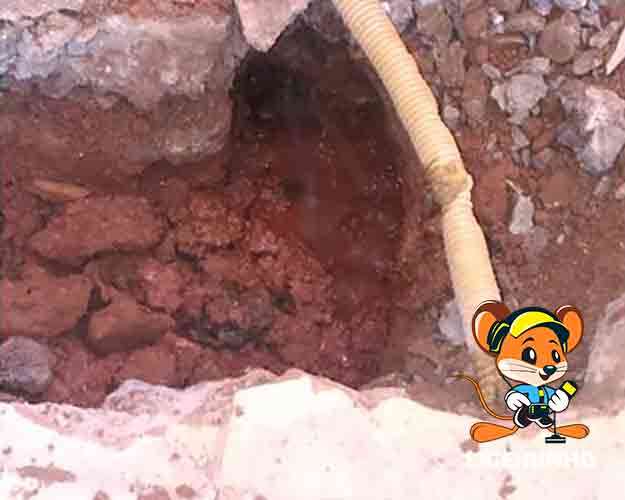 Empresa que detecta vazamentos barato na Zona Leste
